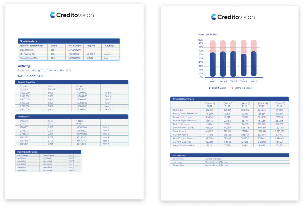Content of Credit Report